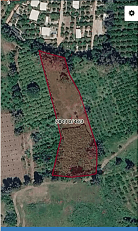Konyaaltı Zümrüt Mevkii'ndeki 5.950 m² kiralık tarlanın uydu görünümü ve sınırları